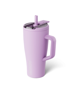 Era Flip 30oz | Lavender