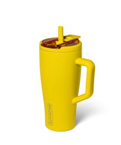 Era Flip 30oz | Pineapple